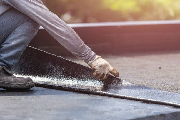 Professional Interior Drainage System technician working in Feather Sound, FL
